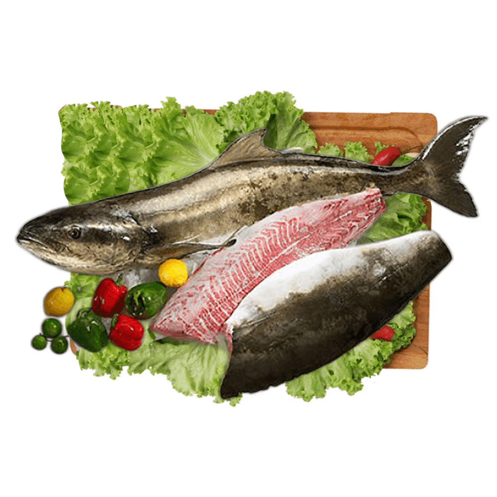 Peixe Bijupirá Inteiro de Água Salgada Resfriado