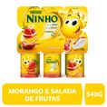 Iogurte Ninho Parcialmente Desnatado Morango + Salada de Frutas + Maçã eBanana Bandeja 540g 6 Unid