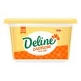 Margarina Deline Cremosa c/ Sal Pote 500g