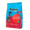 Ração p/ Cães Kynus Premium Carne 10.1Kg