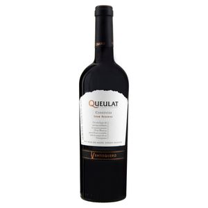 VINHO CHI VENTISQUERO G RES CARM 750ML