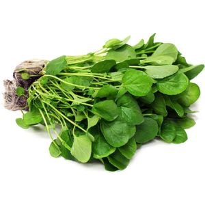 Agrião Naturalissimo 100g